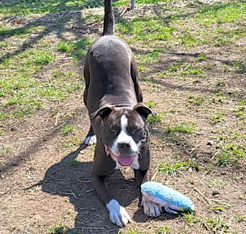 Photo of Hex