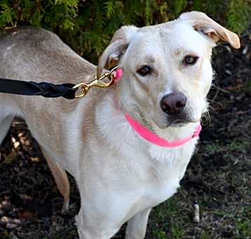 Photo of Lexie