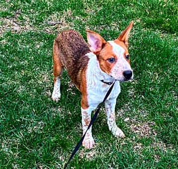 Photo of Manchas