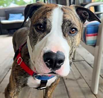 Photo of Walter