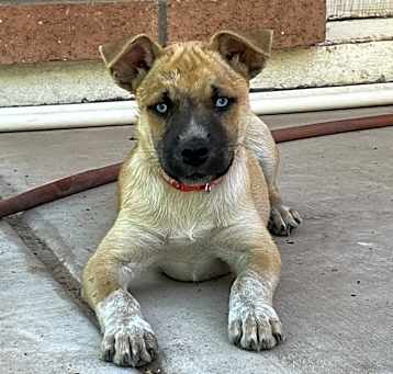 Photo of Katcher