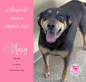 Photo of Mazy