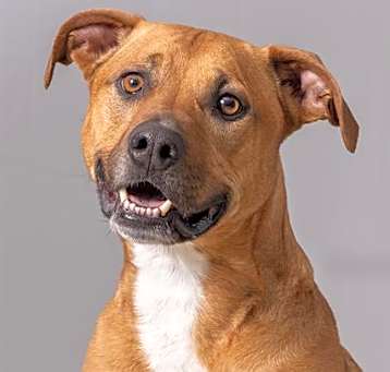 Photo of SPIKE