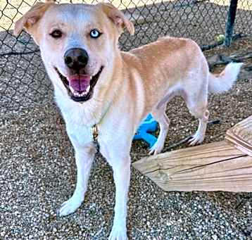 Photo of Oakley