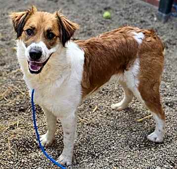 Photo of MAGGIE