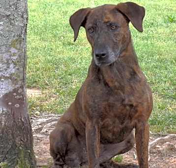 Photo of Tilly 754-22