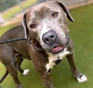 Photo of Reuben