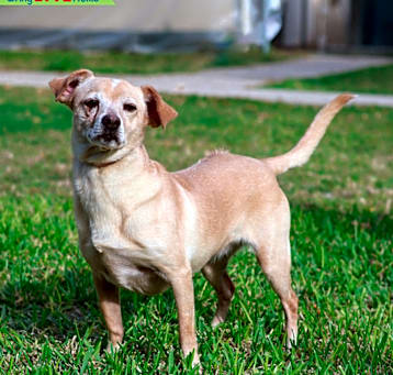 Photo of Jill