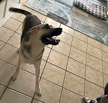 Photo of Ghost