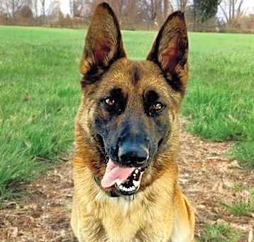 Photo of LEOPOLDO