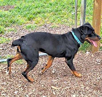 Photo of ROXY