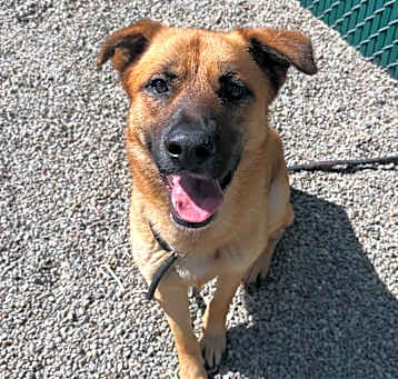 Photo of Buddy