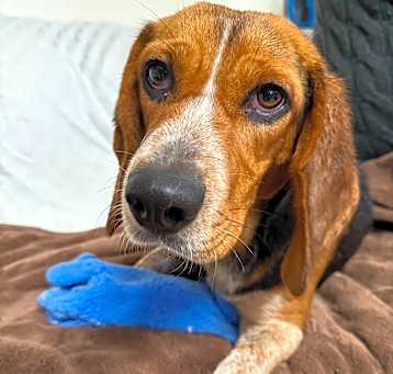 Photo of Betty