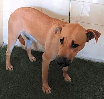 Photo of A1228209