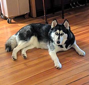 Photo of SHEBA