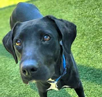 Photo of Elphie