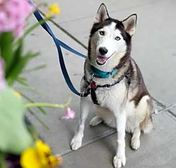 Photo of Delilah