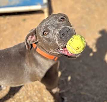 Photo of Bleu Boy