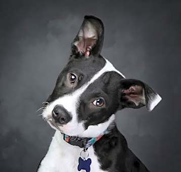 Photo of Jimmy