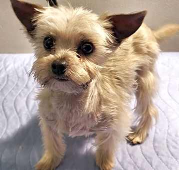 Photo of Mindy