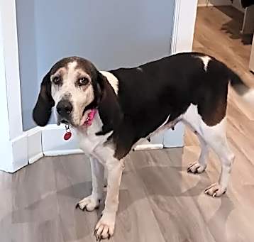 Photo of Holly