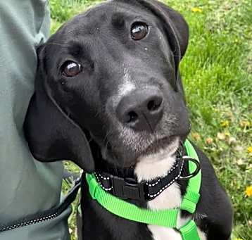 Photo of Bert