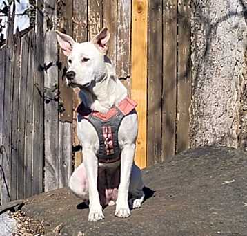 Photo of Meisha