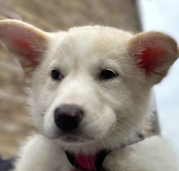 Photo of BUTTER