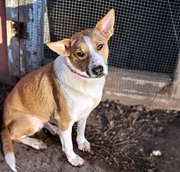Photo of Chloe