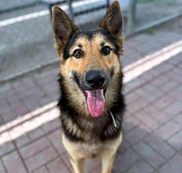 Photo of Azriel