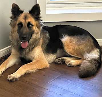 Photo of Hera
