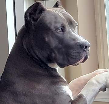 Photo of Colonel