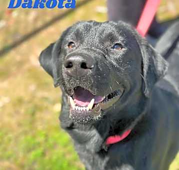 Photo of DAKOTA
