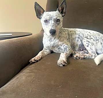 Photo of Tootie