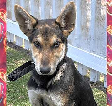 Photo of Thelma