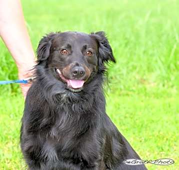 Photo of Bella
