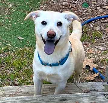 Photo of Snickers