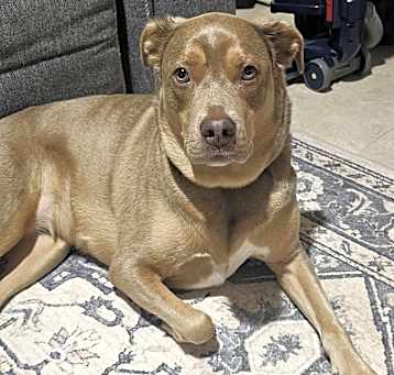 Photo of Myla