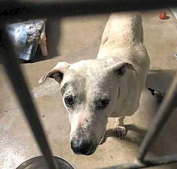 Photo of Hope