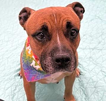 Photo of Maggie May