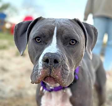 Photo of Okie