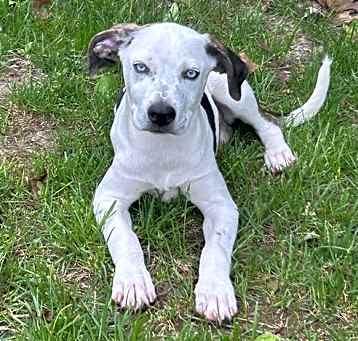 Photo of Clyde