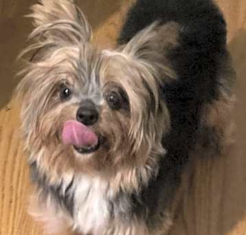 Photo of Phoebe