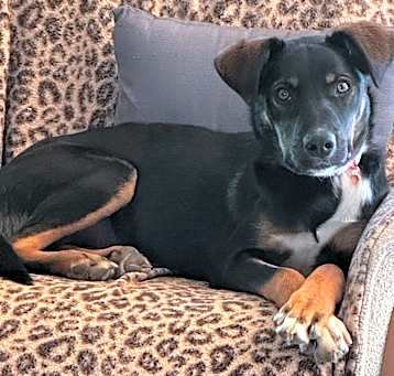 Photo of Coco 