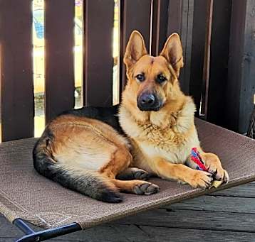 Photo of Togo