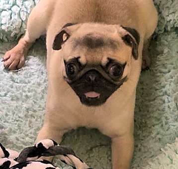 Photo of Penny Pending