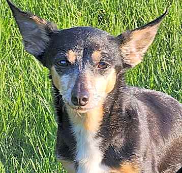 Photo of Greta