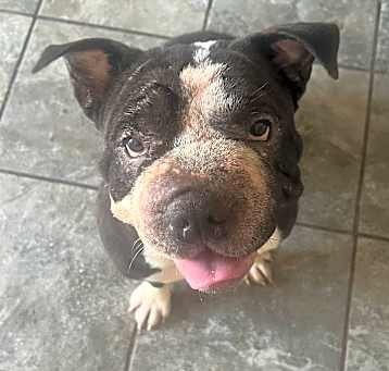 Photo of Azula