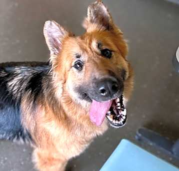 Photo of Carmen