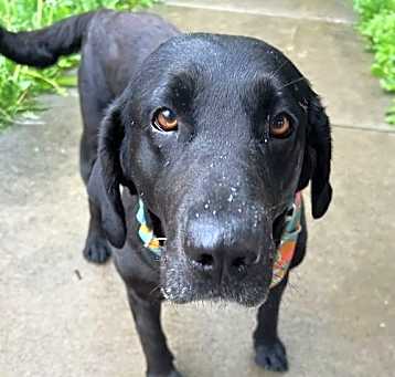 Photo of Castroville / Oprah / Daisy
